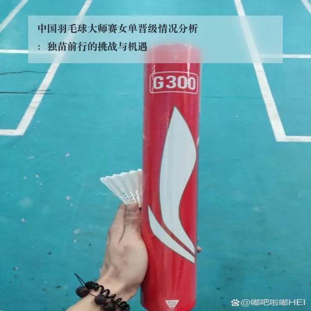 中国羽毛球大师赛女单晋级情况分析:独苗前行的挑战与机遇